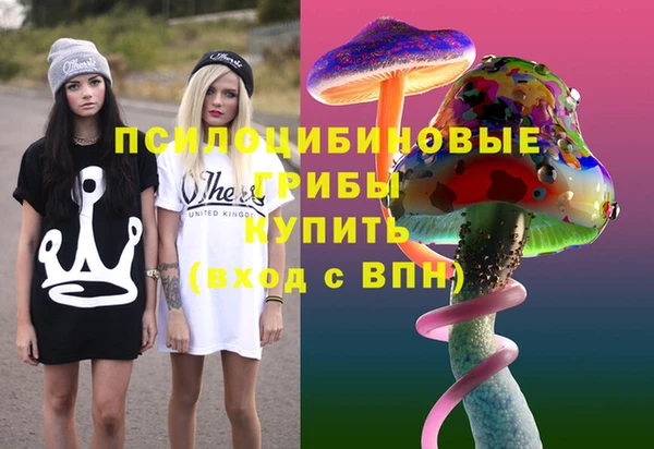 ECSTASY Алексеевка